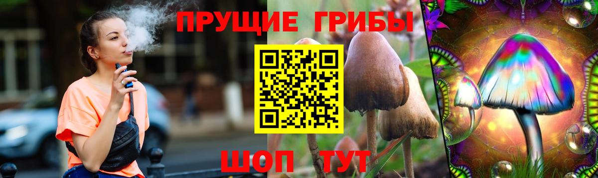 Псилоцибиновые грибы Psilocybe Бугульма